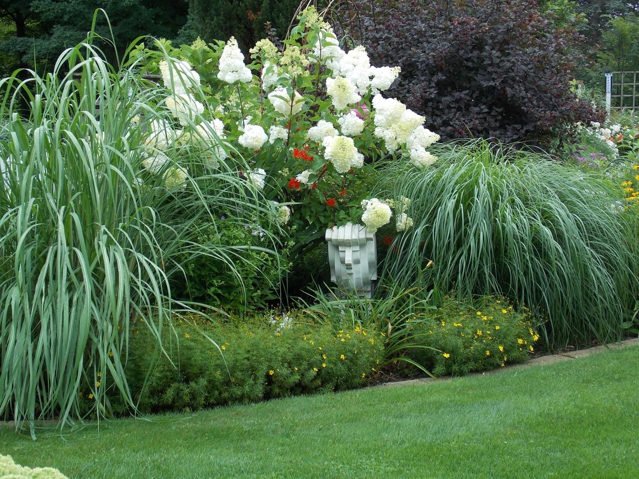 How to Pair Hydrangeas With Grasses for Stunning Contrast