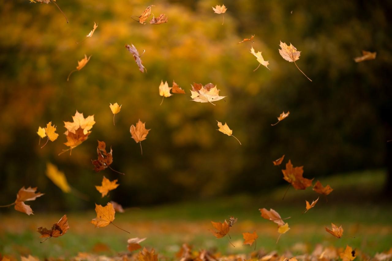 Step-by-Step Tutorial: How to Craft a Gorgeous Autumn Leaf Garland